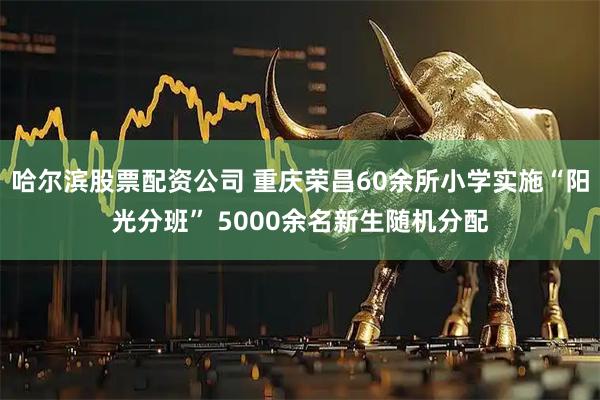 哈尔滨股票配资公司 重庆荣昌60余所小学实施“阳光分班” 5000余名新生随机分配