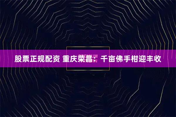 股票正规配资 重庆荣昌：千亩佛手柑迎丰收