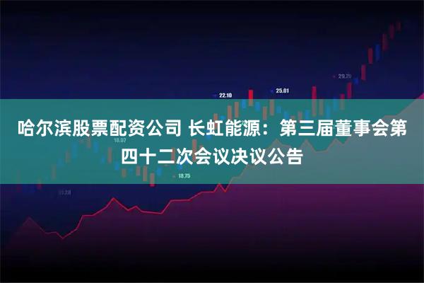 哈尔滨股票配资公司 长虹能源：第三届董事会第四十二次会议决议公告