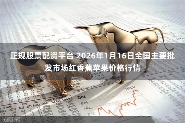正规股票配资平台 2026年1月16日全国主要批发市场红香蕉苹果价格行情